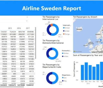 business-analytics-Services-Swiden-airline-REFKA