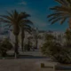 forsa immobiliere sousse agence immobiliere sousse 80x80
